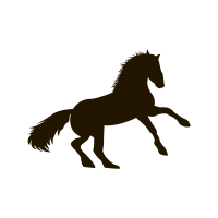 horse